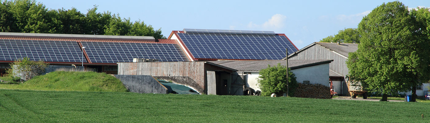 Eine ländliche Szene mit einem Bauernhof, der Solarpaneele auf den Dächern hat, umgeben von Wiese und Bäumen.
